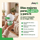 Días mejores para tu perro y para ti