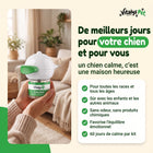De meilleurs jours pour votre chien et pour vous