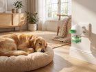 Golden retriever endormi près du diffuseur Vitalys Calma