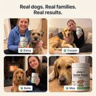 Vitalys Pet 09 families