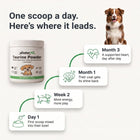 Vitalys Pet 10 timeline