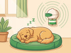 Vitalys Pet calma ilus dormido
