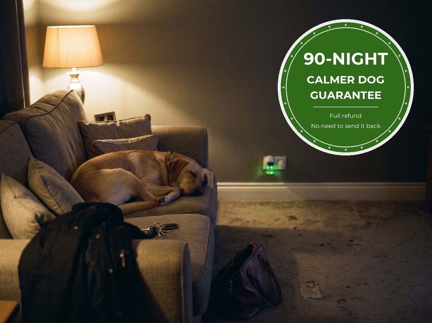 90 nights to see the difference. Or your money back.