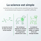 Vitalys | Taurine