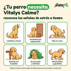 ¿Tu perro necesita Vitalys Calma? Señales de estrés
