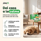 Del caos a la calma