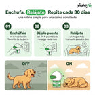Enchufa, relájate, repite cada 30 días