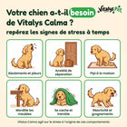 Votre chien a-t-il besoin de Vitalys Calma ? Les signes de stress
