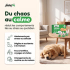 Du chaos au calme