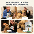 Vitalys | Taurine