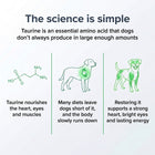 Vitalys Pet 04 science