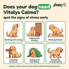 Vitalys Pet calma edu 01