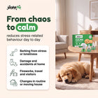 Vitalys Pet calma edu 02