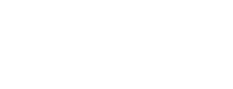 Vitalys Pet