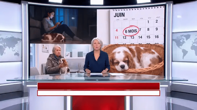 Journal télévisé — la fenêtre d'attente