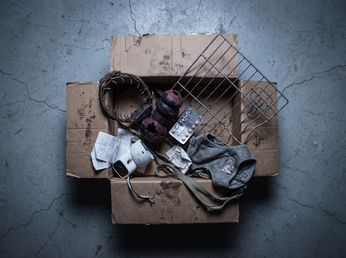 Everything that was supposed to work, in one box.
