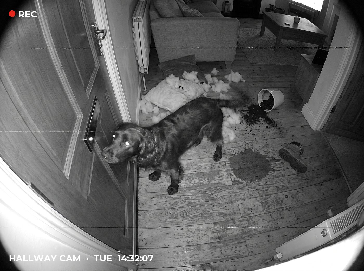 Hallway camera, 12 minutes after the door closed. Illustrative.
