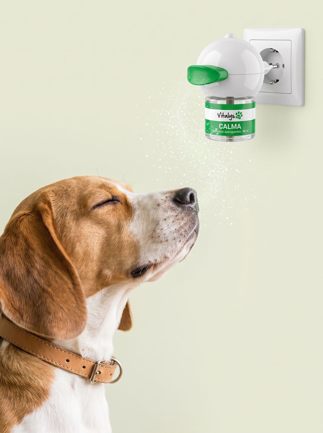 Perro relajado bajo el difusor Vitalys Calma