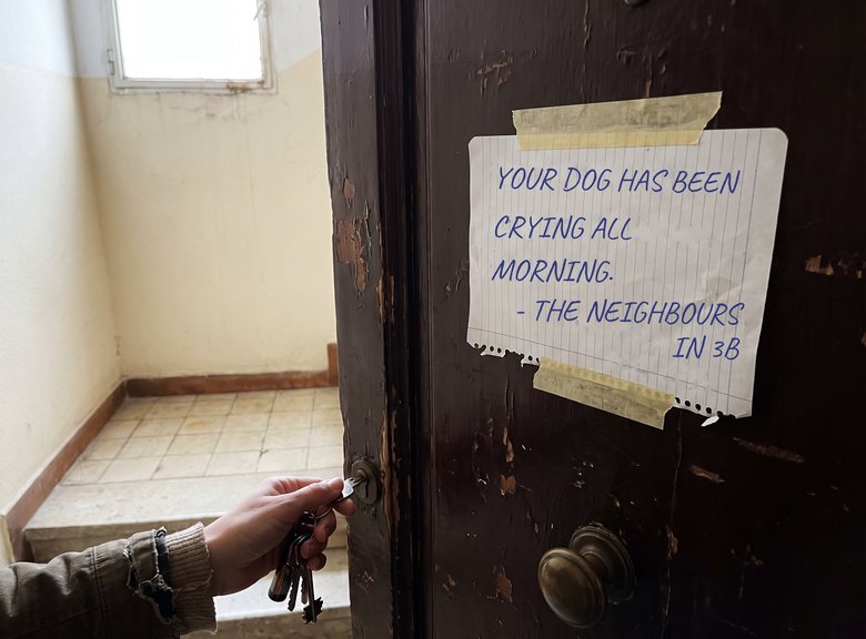 Note from the neighbours taped to a front door: “Your dog has been crying all morning”